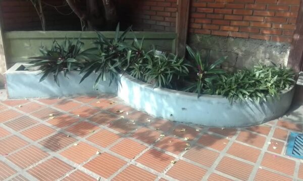 Jardineras Prefabricadas EFCO - Imagen 8
